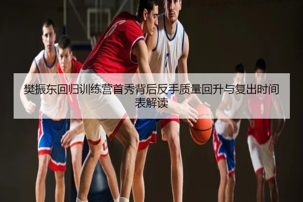 樊振东回归训练营首秀背后反手质量回升与复出时间表解读